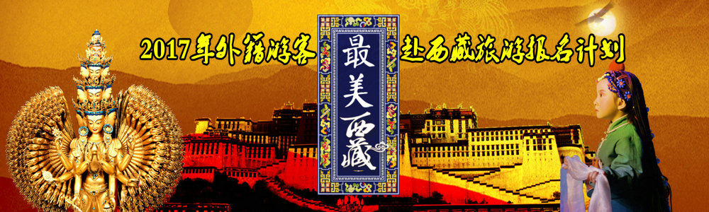 2017外宾西藏团
